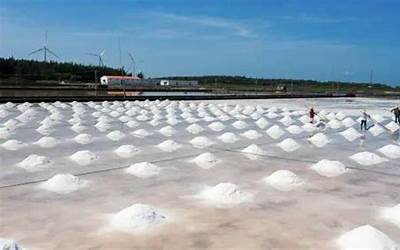 日本核污染水排海！中盐集团回应食盐抢购现象：储备充足 不要盲目抢购